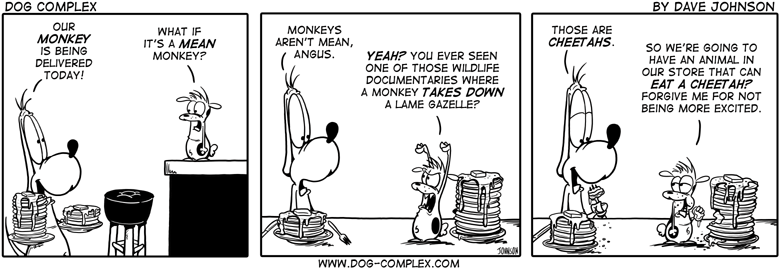 dog